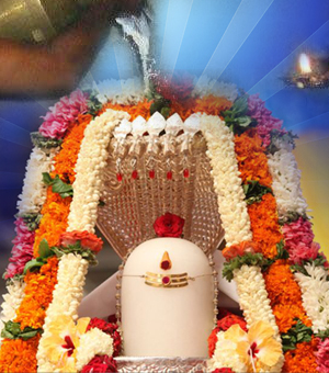 best hindu pandit for Rudrabhishekam puja